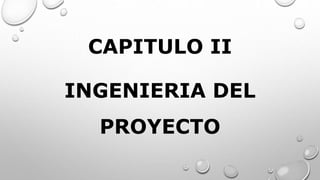 CAPITULO II
INGENIERIA DEL
PROYECTO
 