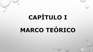 CAPÍTULO I
MARCO TEÓRICO
 