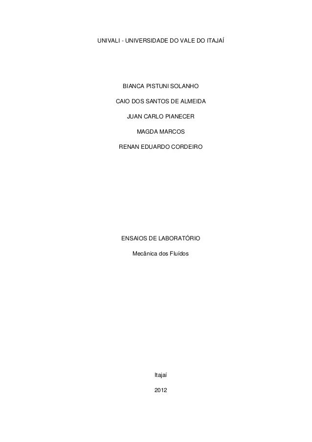 Relatorio mecanica