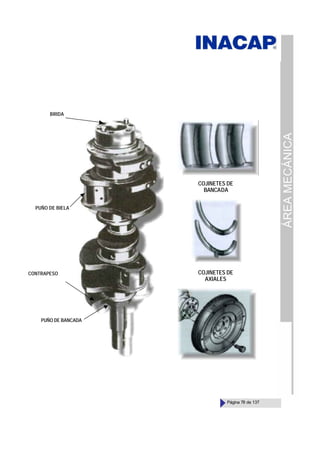 ÁREA
MECÁNICA
Página 78 de 137
PUÑO DE BANCADA
CONTRAPESO
BRIDA
PUÑO DE BIELA
COJINETES DE
BANCADA
COJINETES DE
AXIALES
 