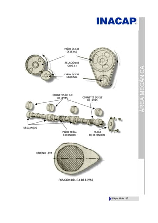 ÁREA
MECÁNICA
Página 84 de 137
POSICIÓN DEL EJE DE LEVAS
PIÑON DE EJE
DE LEVAS
RELACIÓN DE
GIRO 2:1
PIÑON DE EJE
CIGÜEÑAL
COJINETES DE EJE
DE LEVAS COJINETES DE EJE
DE LEVAS
PLACA
DE RETENCIÓN
PIÑON SEÑAL
ENCENDIDO
DESCANSOS
CAMON O LEVA
 