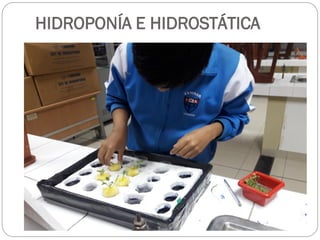 HIDROPONÍA E HIDROSTÁTICA
 