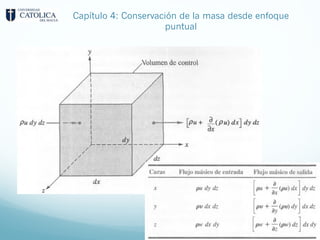 Capítulo 4: Conservación de la masa desde enfoque
puntual
 