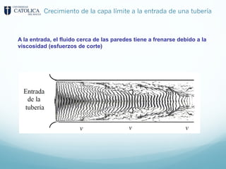 Crecimiento de la capa límite a la entrada de una tubería
A la entrada, el fluido cerca de las paredes tiene a frenarse debido a la
viscosidad (esfuerzos de corte)
 