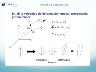 Tensor de deformación
 