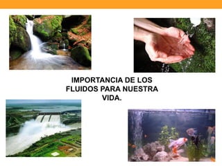 IMPORTANCIA DE LOS
FLUIDOS PARA NUESTRA
VIDA.
 