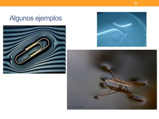 •
Algunos ejemplos
37
 