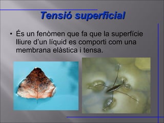 Tensió superficial És un fenòmen que fa que la superfície lliure d’un líquid es comporti com una membrana elàstica i tensa. 