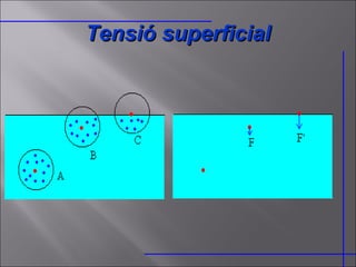 Tensió superficial 