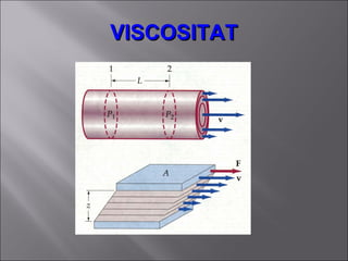 VISCOSITAT 