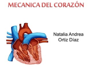 Natalia Andrea
Ortiz Díaz
 