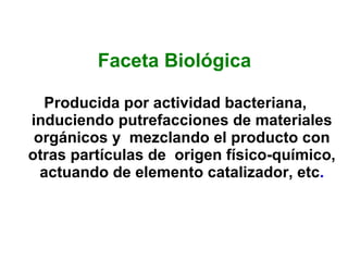 Faceta Biológica Producida por actividad bacteriana, induciendo putrefacciones de materiales orgánicos y  mezclando el producto con otras partículas de  origen físico-químico, actuando de elemento catalizador, etc . 