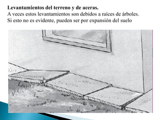 Levantamientos del terreno y de aceras.
A veces estos levantamientos son debidos a raíces de árboles.
Si esto no es evidente, pueden ser por expansión del suelo
 