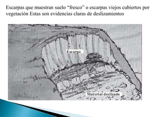 Escarpas que muestran suelo “fresco” o escarpas viejos cubiertos por
vegetación Estas son evidencias claras de deslizamientos
 