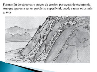 Formación de cárcavas o surcos de erosión por aguas de escorrentía.
Aunque aparenta ser un problema superficial, puede causar otros más
graves
 