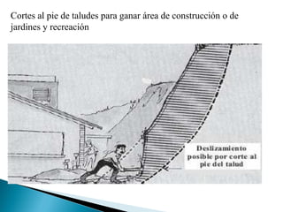 Cortes al pie de taludes para ganar área de construcción o de
jardines y recreación
 