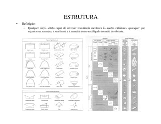 ESTRUTURA
• Definição:
– Qualquer corpo sólido capaz de oferecer resistência mecânica às acções exteriores, quaisquer que
sejam a sua natureza, a sua forma e a maneira como está ligado ao meio envolvente.
 