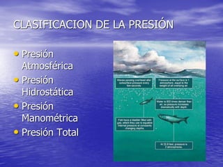 CLASIFICACION DE LA PRESIÓN
• Presión
Atmosférica
• Presión
Hidrostática
• Presión
Manométrica
• Presión Total
 