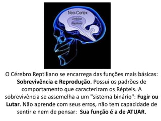 O Cérebro Reptiliano se encarrega das funções mais básicas:
Sobrevivência e Reprodução. Possui os padrões de
comportamento que caracterizam os Répteis. A
sobrevivência se assemelha a um "sistema binário": Fugir ou
Lutar. Não aprende com seus erros, não tem capacidade de
sentir e nem de pensar: Sua função é a de ATUAR.

 