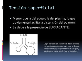 Tensión superficial
 Menor que la del agua o la del plasma, lo que

obviamente facilita la distensión del pulmón.
 Se debe a la presencia de SURFACANTE.

La pº por tensión superficial de un alvéolo
con radio pequeño es mayor que la de uno
de radio mayor, lo que tienden al colapso,
vaciándose hacia los de mayor tamaño.

 