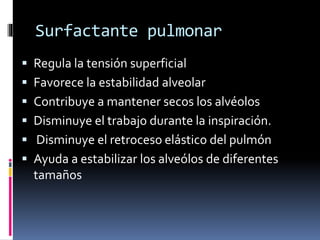 Surfactante pulmonar
 Regula la tensión superficial
 Favorece la estabilidad alveolar
 Contribuye a mantener secos los alvéolos

 Disminuye el trabajo durante la inspiración.
 Disminuye el retroceso elástico del pulmón
 Ayuda a estabilizar los alveólos de diferentes

tamaños

 