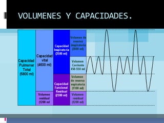 VOLUMENES Y CAPACIDADES.

 
