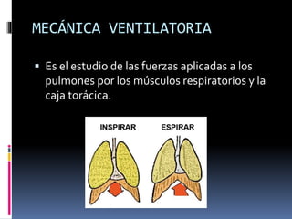 MECÁNICA VENTILATORIA
 Es el estudio de las fuerzas aplicadas a los

pulmones por los músculos respiratorios y la
caja torácica.

 