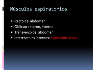 Músculos espiratorios
 Recto del abdomen

 Oblicuo externo, interno.
 Transverso del abdomen
 Intercostales internos: espiración activa.

 