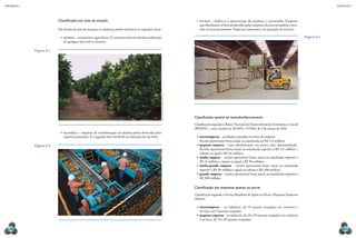 CAPÍTULO 9
MECâNICA 2
142 143
•	terciária – dedica-se à aproximação do produtor e consumidor. Empresas
que distribuem os bens produzidos pelas empresas da área secundária e pres-
tam serviços pertinentes. Empresas comerciais e de prestação de serviços.
•	
Classiicação quanto ao tamanho/faturamento
Classiicação segundo o Banco Nacional de Desenvolvimento Econômico e Social
(BNDES) – carta circular no 10/2010 e 11/2010, de 5 de março de 2010:
•	microempresa – atividades centradas no dono da empresa.
Receita operacional bruta anual ou anualizada até R$ 2,4 milhões;
•	pequena empresa – com administração um pouco mais descentralizada.
Receita operacional bruta anual ou anualizada superior a R$ 2,4 milhões e
inferior ou igual a R$ 16 milhões;
•	média empresa – receita operacional bruta anual ou anualizada superior a
R$ 16 milhões e menor ou igual a R$ 90 milhões;
•	média-grande empresa – receita operacional bruta anual ou anualizada
superior a R$ 90 milhões e igual ou inferior a R$ 300 milhões;
•	grande empresa – receita operacional bruta anual ou anualizada superior a
R$ 300 milhões.
Classiicação das empresas quanto ao porte
Classiicação segundo o Serviço Brasileiro de Apoio às Micro e Pequenas Empresas
(Sebrae):
•	microempresa – na indústria, até 19 pessoas ocupadas; no comércio e
serviços, até 9 pessoas ocupadas;
•	pequena empresa – na indústria, de 20 a 99 pessoas ocupadas; no comércio
e serviços, de 10 a 49 pessoas ocupadas;
Figura 9.3
Classiicação por área de atuação
Em função da área de atuação, as empresas podem pertencer às seguintes áreas:
•	primária – extrativista e agricultura. É a primeira área envolvida na obtenção
de qualquer bem útil ao homem;
•	secundária – empresas de transformação da matéria-prima fornecida pelas
empresas primárias. É a segunda área envolvida na obtenção de um bem;
Figura 9.1
Figura 9.2
BlOOmBerg/gettY
images
Delfim
martins/Pulsar
imagens
mirCea
BeZergHeanu/sHutterstOCK
 