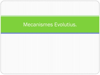 Mecanismes Evolutius.
 