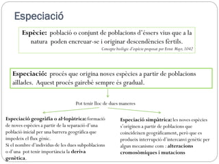 Especiació
        Espècie: població o conjunt de poblacions d’éssers vius que a la
           natura poden encreuar-se i originar descendències fèrtils.
                                                Concepte biològic d’espècie proposat per Ernst Mayr, 1042




   Especiació: procés que origina noves espècies a partir de poblacions
   aïllades. Aquest procés gairebé sempre és gradual.

                                   Pot tenir lloc de dues maneres

Especiació geogràfia o al·lopàtrica: formació              Especiació simpàtrica: les noves espècies
de noves espècies a partir de la separació d’una           s’originen a partir de poblacions que
població inicial per una barrera geogràfica que            coincideixen geogràficament, però que es
impedeix el flux gènic.                                    produeix interrupció d’intercanvi genètic per
Si el nombre d’individus de les dues subpoblacions         algun mecanisme com : alteracions
o d’una pot tenir importància la deriva                    cromosòmiques i mutacions
genètica.
 