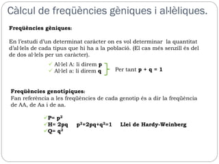 Càlcul de freqüències gèniques i al·lèliques.
Freqüències gèniques:

En l’estudi d’un determinat caràcter on es vol determinar la quantitat
d’al·lels de cada tipus que hi ha a la població. (El cas més senzill és del
de dos al·lels per un caràcter).
                Al·lel A: li direm p
                Al·lel a: li direm q    Per tant p + q = 1


Freqüències genotípiques:
Fan referència a les freqüències de cada genotip és a dir la freqüència
de AA, de Aa i de aa.

             P= p2
             H= 2pq      p2+2pq+q2=1      Llei de Hardy-Weinberg
             Q= q2
 