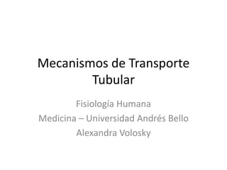 Mecanismos de Transporte
Tubular
Fisiología Humana
Medicina – Universidad Andrés Bello
Alexandra Volosky
 