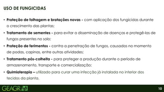 10
• Proteção de folhagem e brotações novas - com aplicação dos fungicidas durante
o crescimento das plantas;
• Tratamento de sementes - para evitar a disseminação de doenças e protegê-las de
fungos presentes no solo;
• Proteção de ferimentos - contra a penetração de fungos, causados no momento
de podas, capinas, entre outras atividades;
• Tratamento pós-colheita - para proteger a produção durante o período de
armazenamento, transporte e comercialização;
• Quimioterapia – utilizado para curar uma infecção já instalada no interior dos
tecidos da planta.
USO DE FUNGICIDAS
 