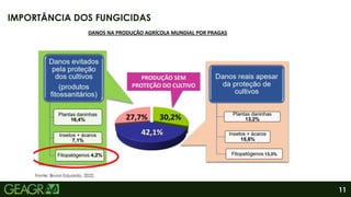 11
IMPORTÂNCIA DOS FUNGICIDAS
Fonte: Bruno Eduardo, 2022.
 
