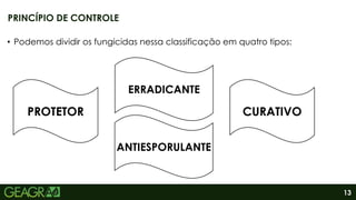 13
• Podemos dividir os fungicidas nessa classificação em quatro tipos:
PRINCÍPIO DE CONTROLE
PROTETOR
ERRADICANTE
CURATIVO
ANTIESPORULANTE
 
