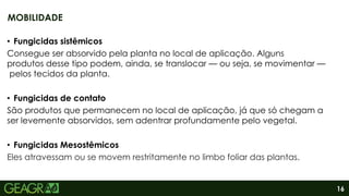 16
• Fungicidas sistêmicos
Consegue ser absorvido pela planta no local de aplicação. Alguns
produtos desse tipo podem, ainda, se translocar — ou seja, se movimentar —
pelos tecidos da planta.
• Fungicidas de contato
São produtos que permanecem no local de aplicação, já que só chegam a
ser levemente absorvidos, sem adentrar profundamente pelo vegetal.
• Fungicidas Mesostêmicos
Eles atravessam ou se movem restritamente no limbo foliar das plantas.
MOBILIDADE
 