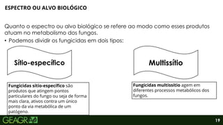 19
Quanto o espectro ou alvo biológico se refere ao modo como esses produtos
atuam no metabolismo dos fungos.
• Podemos dividir os fungicidas em dois tipos:
ESPECTRO OU ALVO BIOLÓGICO
Sítio-específico Multissítio
Fungicidas sítio-específico são
produtos que atingem pontos
particulares do fungo ou seja de forma
mais clara, ativos contra um único
ponto da via metabólica de um
patógeno.
Fungicidas multissítio agem em
diferentes processos metabólicos dos
fungos.
 