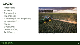 2
• Introdução;
• Histórico;
• Formulações;
• Importância;
• Classificação dos fungicidas;
• Modo de ação:
- Triazóis;
- Estrubirulina;
- Carboxamidas;
• Resistência.
SUMÁRIO
Fonte: Revista Globo Rural, 2019.
 