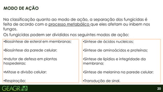 20
Na classificação quanto ao modo de ação, a separação dos fungicidas é
feita de acordo com o processo metabólico que eles afetam ou inibem nos
fungos.
Os fungicidas podem ser divididos nos seguintes modos de ação:
MODO DE AÇÃO
•Biossíntese de esterol em membranas;
•Biossíntese da parede celular;
•Indutor de defesa em plantas
hospedeiras;
•Mitose e divisão celular;
•Respiração;
•Síntese de ácidos nucleicos;
•Síntese de aminoácidos e proteínas;
•Síntese de lipídios e integridade da
membrana;
•Síntese de melanina na parede celular;
•Transdução de sinal.
 