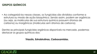 21
• Ao categorizá-los nessas classes, os fungicidas são divididos conforme a
estrutura ou modo de ação bioquímico. Sendo assim, podem ser orgânicos
(ou seja, as moléculas de sua estrutura química possuem átomos de
carbono) ou inorgânicos (moléculas sem átomos de carbono).
Dentre as principais fungicidas orgânicos disponíveis no mercado, podemos
destacar os grupos químicos dos:
Triazóis, Estrobirulinas, Carboxamidas.
GRUPOS QUÍMICOS
 