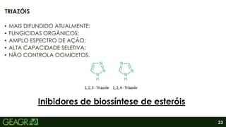 23
• MAIS DIFUNDIDO ATUALMENTE;
• FUNGICIDAS ORGÂNICOS;
• AMPLO ESPECTRO DE AÇÃO;
• ALTA CAPACIDADE SELETIVA;
• NÃO CONTROLA OOMICETOS.
TRIAZÓIS
Inibidores de biossíntese de esteróis
 