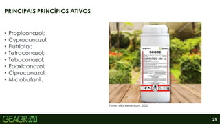 25
• Propiconazol;
• Cyproconazol;
• Flutriafol;
• Tetraconazol;
• Tebuconazol;
• Epoxiconazol;
• Ciproconazol;
• Miclobutanil.
PRINCIPAIS PRINCÍPIOS ATIVOS
Fonte: Villa Verde Agro, 2022.
 