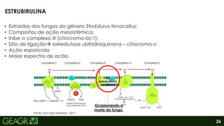 26
• Extraídas dos fungos do gênero Strobilurus tenacellus;
• Compostos de ação mesostêmica;
• Inibe o complexo III (citocromo-bc1);
• Sitio de ligação oxiredutase ubihidroquinona – citocromo-c
• Ação esporicida;
• Maior espectro de ação.
ESTRUBIRULINA
Fonte: Fort Agro Defensiv, 2017.
(X)
Transferência
de elétrons
Ocasionando a
morte do fungo.
 
