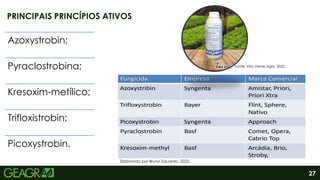 27
PRINCIPAIS PRINCÍPIOS ATIVOS
Azoxystrobin;
Pyraclostrobina;
Kresoxim-metílico;
Trifloxistrobin;
Picoxystrobin.
Elaborado por Bruno Eduardo, 2022.
Fonte: Villa Verde Agro, 2022.
 