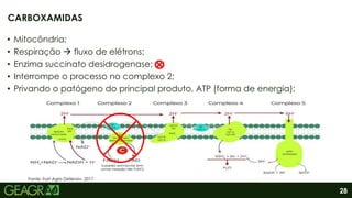 28
• Mitocôndria;
• Respiração  fluxo de elétrons;
• Enzima succinato desidrogenase;
• Interrompe o processo no complexo 2;
• Privando o patógeno do principal produto, ATP (forma de energia);
CARBOXAMIDAS
Fonte: Fort Agro Defensiv, 2017.
 