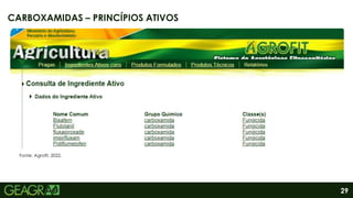29
CARBOXAMIDAS – PRINCÍPIOS ATIVOS
Fonte: Agrofit, 2022.
 