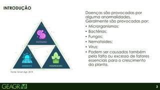 3
Doenças são provocadas por
alguma anormalidades.
Geralmente são provocadas por:
• Microrganismos;
• Bactérias;
• Fungos;
• Nematoides;
• Vírus;
• Podem ser causadas também
pela falta ou excesso de fatores
essenciais para o crescimento
da planta.
INTRODUÇÃO
Fonte: Smart Agri, 2019.
 