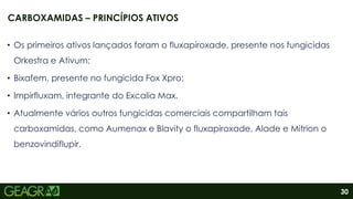 30
• Os primeiros ativos lançados foram o fluxapiroxade, presente nos fungicidas
Orkestra e Ativum;
• Bixafem, presente no fungicida Fox Xpro;
• Impirfluxam, integrante do Excalia Max.
• Atualmente vários outros fungicidas comerciais compartilham tais
carboxamidas, como Aumenax e Blavity o fluxapiroxade, Alade e Mitrion o
benzovindiflupir.
CARBOXAMIDAS – PRINCÍPIOS ATIVOS
 