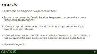 35
• Aplicação do fungicida nos períodos críticos;
• Seguir as recomendações do fabricante quanto a dose, a época e a
frequência de aplicação;
• Não usar o produto de forma isolada: sistêmico + protetor de amplo
espectro, ou em rotação;
• Não aplicar o produto no solo para controlar doenças da parte aérea, a
não ser que tenha sido desenvolvido para ser aplicado dessa forma;
• Manejo integrado.
PREVENÇÃO
 